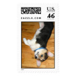 Hannah postage