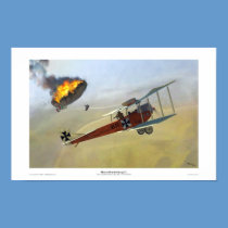 Hansa-Brandenburg C.I posters