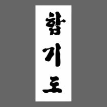 Hapkido Print posters