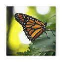 Happines is a Butterfly magnets by wottwin Happines is a Butterfly magnets