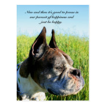Happiness boxer postcard