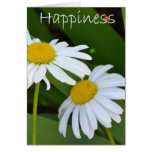 Happiness Daisies Greeting Card Happiness Daisies Greeting Card