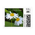 Happiness Daisies Stamp Happiness Daisies Stamp