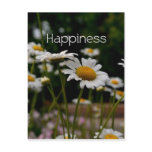 Happiness-Daisies Postcards