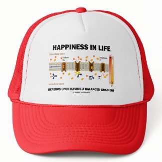 Happiness In Life Depends Upon Balanced Gradient hat