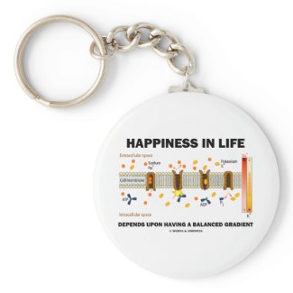 Happiness In Life Depends Upon Balanced Gradient Key Chains