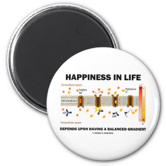 Happiness In Life Depends Upon Balanced Gradient Fridge Magnet