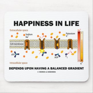 Happiness In Life Depends Upon Balanced Gradient mousepad