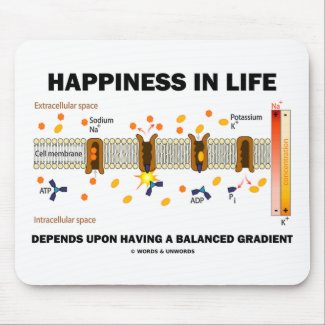 Happiness In Life Depends Upon Balanced Gradient Mousepads