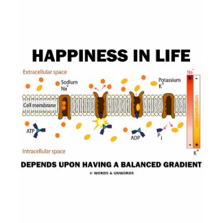 Happiness In Life Depends Upon Balanced Gradient shirt