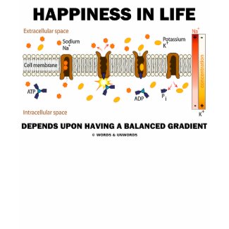 Happiness In Life Depends Upon Balanced Gradient shirt