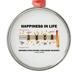 Happiness In Life Depends Upon Having Balanced Christmas Ornament