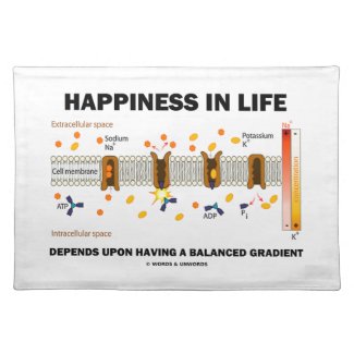 Happiness In Life Depends Upon Having Balanced Placemat