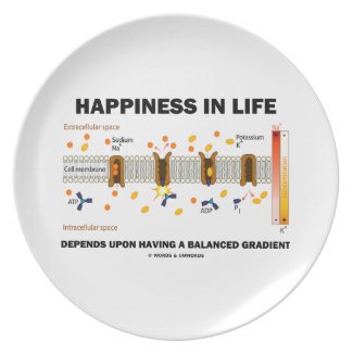 Happiness In Life Depends Upon Having Balanced Dinner Plate
