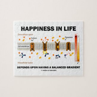 Happiness In Life Depends Upon Having Balanced Puzzle