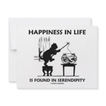 Happiness In Life Is Found In Serendipity (Cat) Announcements