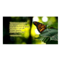 Happiness is a Butterfly posters by wottwin Happiness is a Butterfly posters