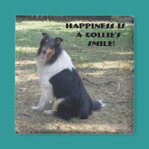 Happiness Is A Collie's Smile magnets
