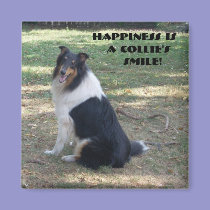 Happiness Is A Collie's Smile magnets
