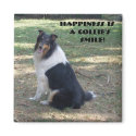 Happiness Is A Collie's Smile magnets