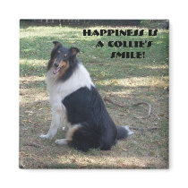 Happiness Is A Collie's Smile magnets