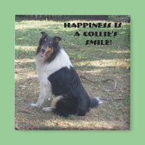 Happiness Is A Collie's Smile magnets