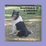 Happiness Is A Collie's Smile magnets