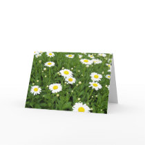 Happiness is a Field of Daisies Greeting Card