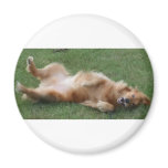 Happiness is a Roll in the Clover magnets