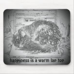 top laptops to buy | grumpy, angel, cats, maine, coon, laptops, grumpy, angel, cats, maine, coon, laptops,