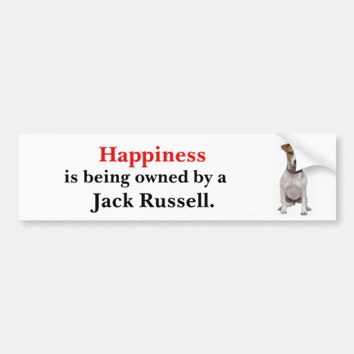 Happiness is being owned by a Jack Russell Bumper Sticker