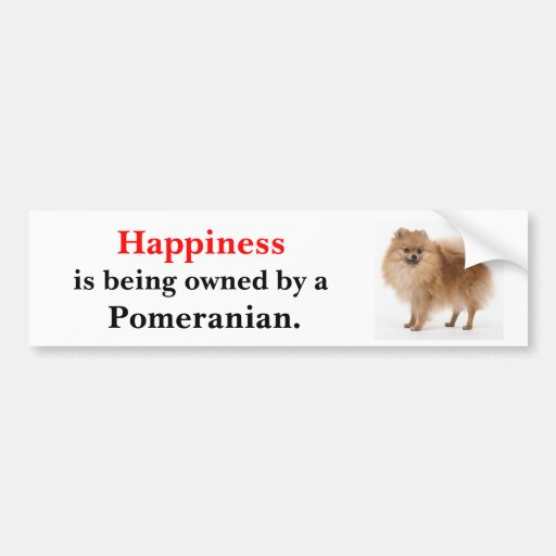 Happiness is being owned by a Pomeranian Bumper Stickers