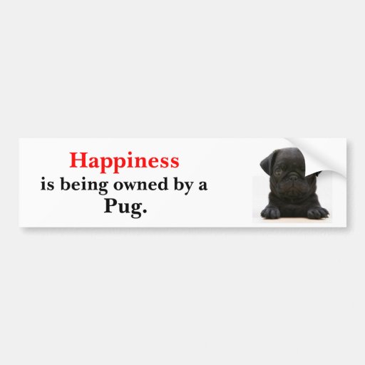 Happiness is being owned by a Pug Bumper Stickers