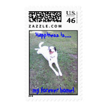 Happiness is...., my forever home! postage stamps