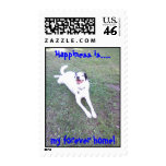 Happiness is...., my forever home! postage