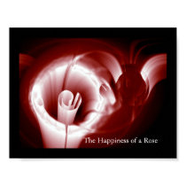 Happiness of a Rose posters