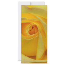 Happiness_ rack cards