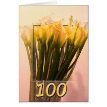 Happy 100th Birthday Greeting Card