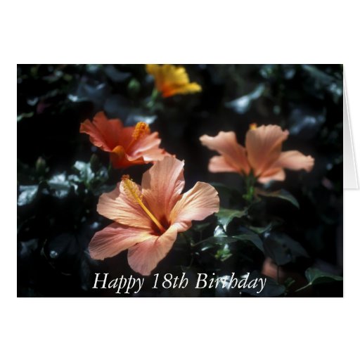 Happy 18th Birthday Flower Card Zazzle