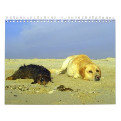 Happy 2008 calendars by Rainmountain