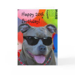 Happy 20th Birthday Pitbull greeting card
