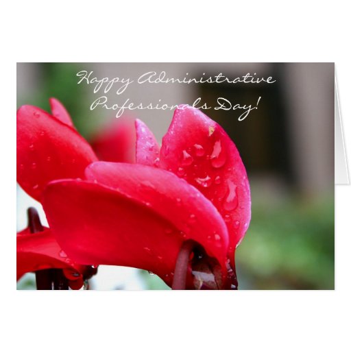 Happy Administrative Professionals Day Card Zazzle