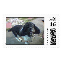 happy alex postage by holycrocodile happy alex postage