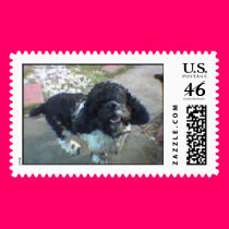 happy alex postage