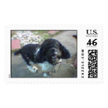 happy alex postage