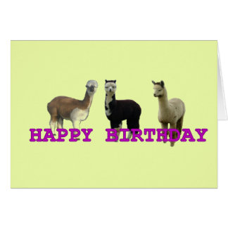 Alpaca Birthday Cards | Zazzle