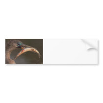 Happy Anhinga Bumper Stickers
