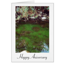 Happy Aniversary Greeting Card