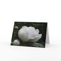 Happy Anniversary Greeting Card