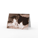 Happy Anniversary Card